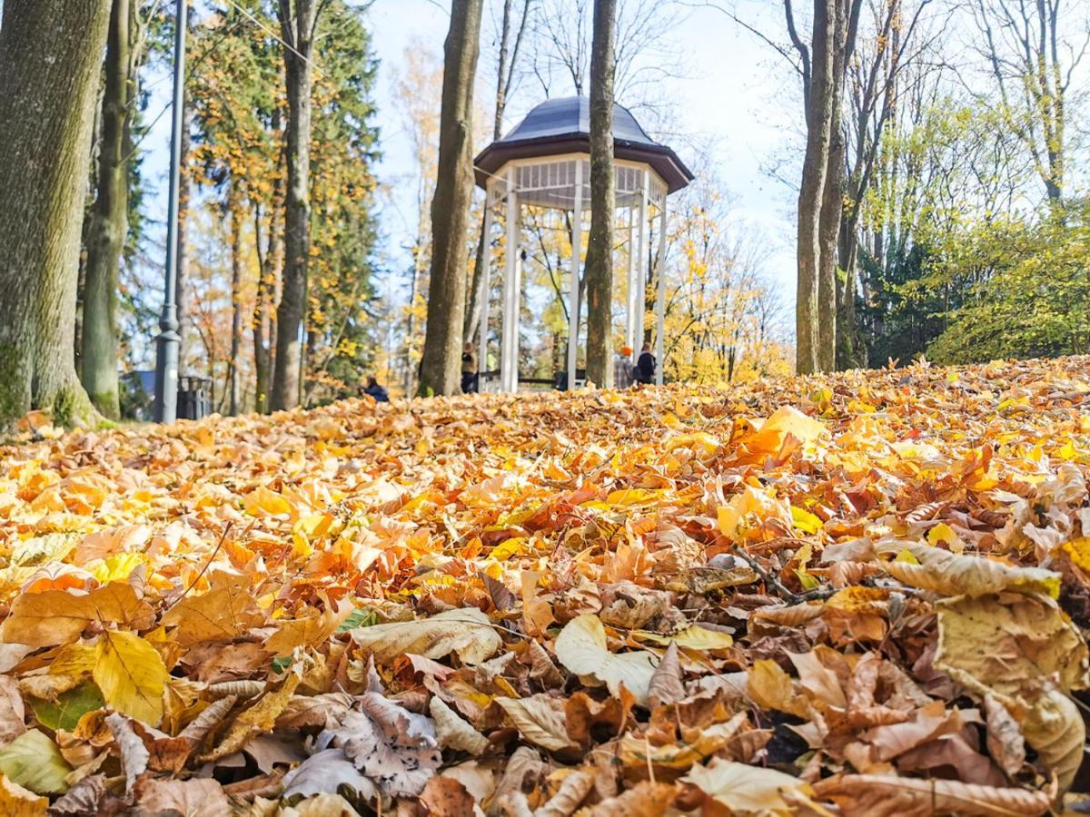 Apartament Z Widokiem Na Park Polanica-Zdrój Buitenkant foto
